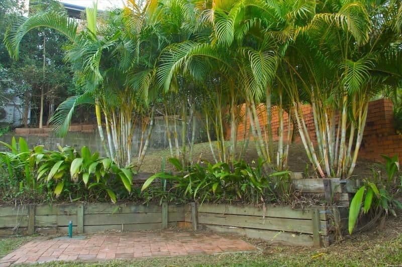 25 Merring Street, OXLEY QLD 4075, Oxley - Thumbnail 8