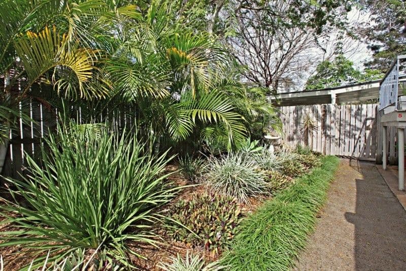 74 Beck Street, PADDINGTON QLD 4064, Paddington - Thumbnail 5
