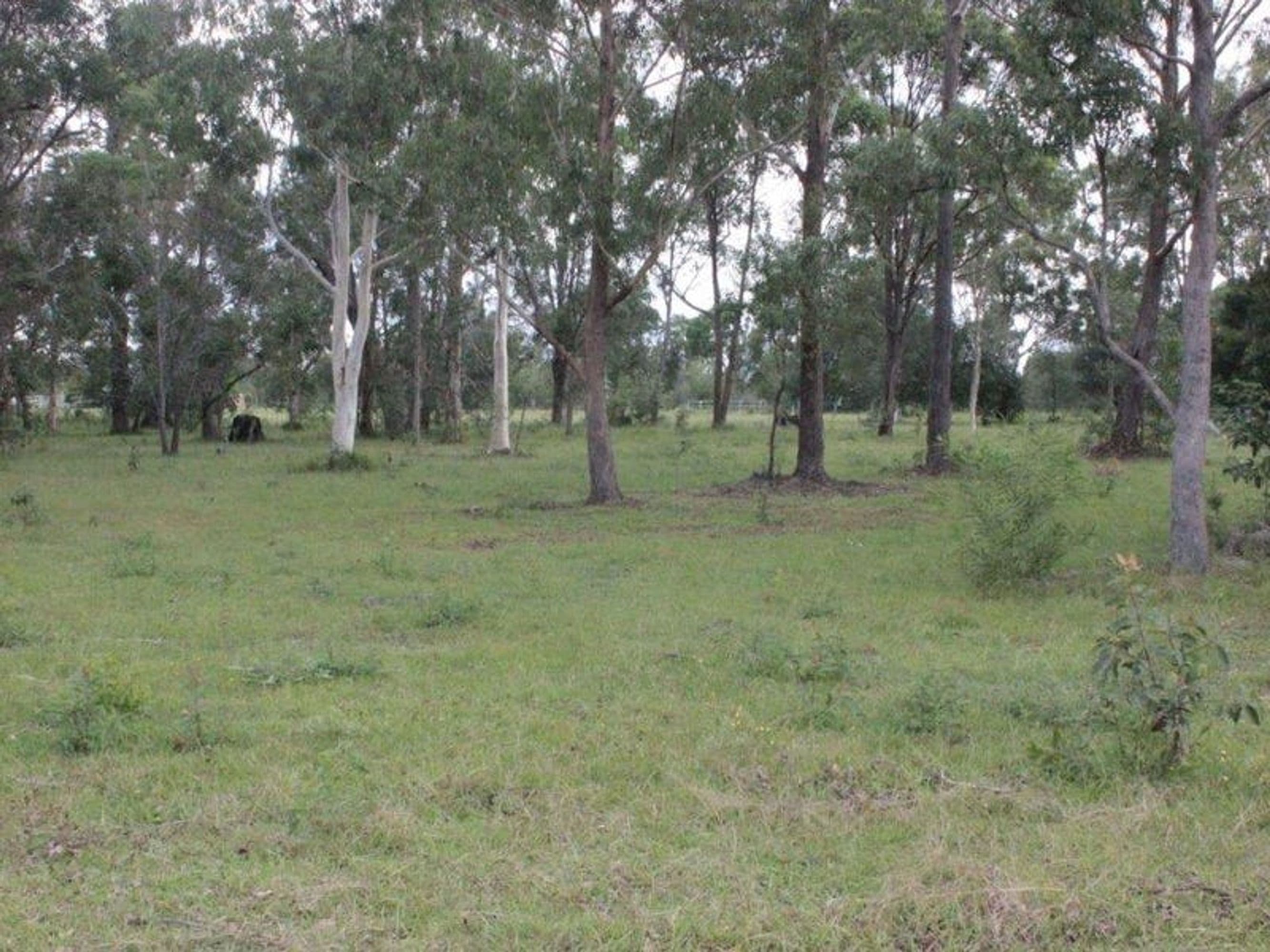 Lot 201 Brooms Head Road, Gulmarrad - Thumbnail 3