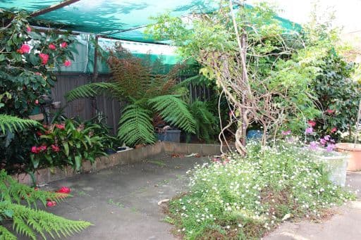 5 Banksia Crescent, FAIRFIELD EAST NSW 2165, Fairfield East - Thumbnail 2
