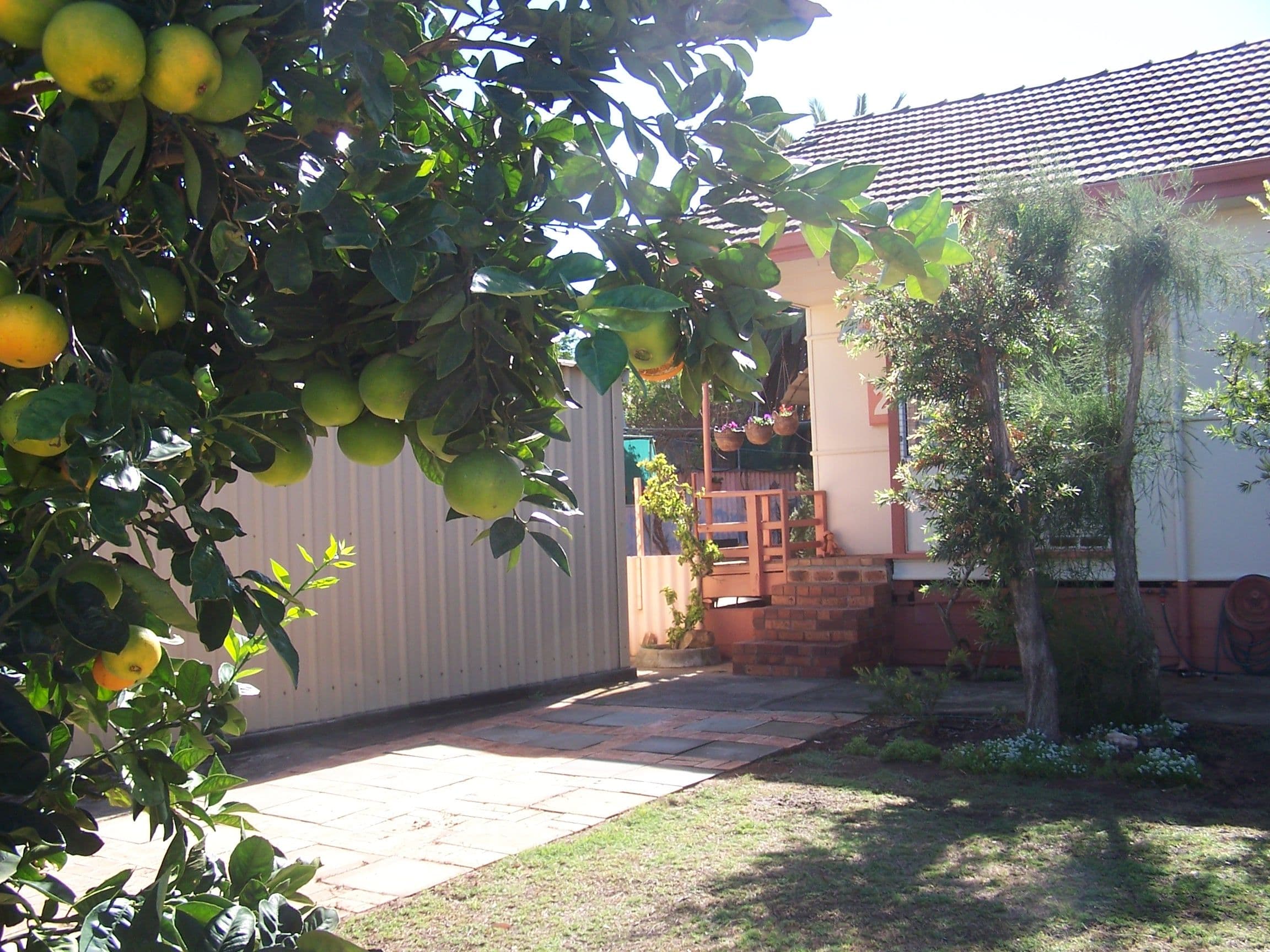 25 Felicia Street, Rangeway WA 6530, Rangeway - Image 1