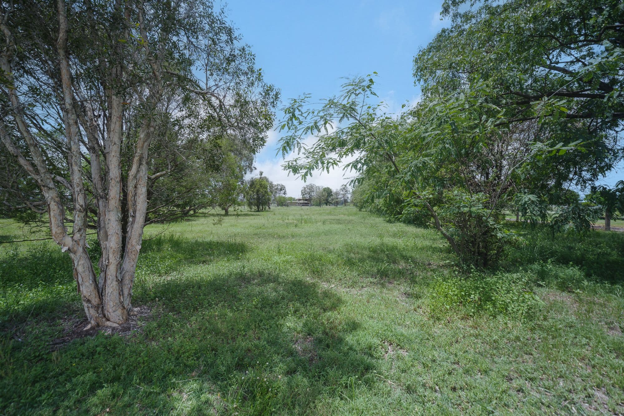 15 Noel Street, Apollo Bay, VIC, Apollo Bay - Thumbnail 5