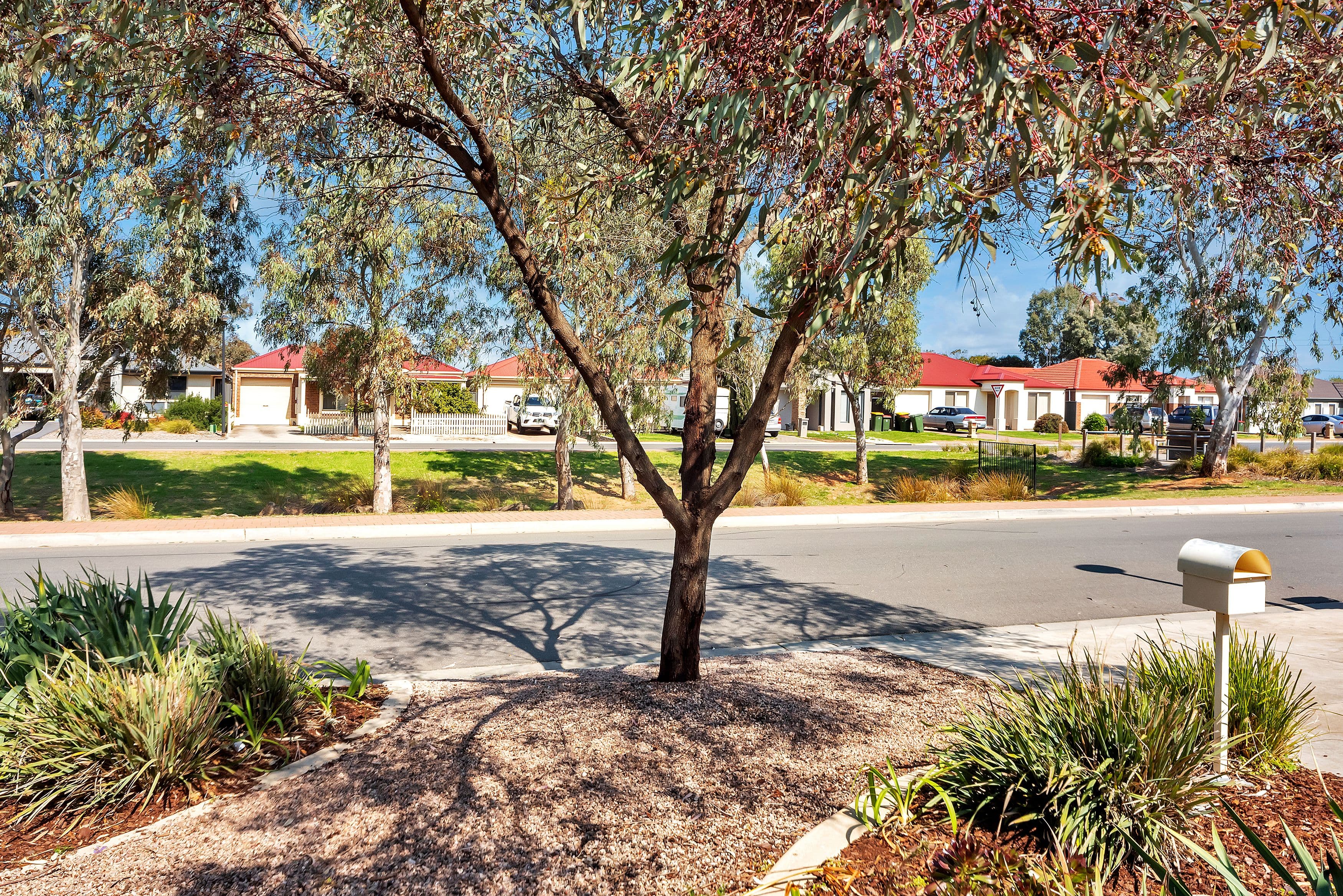5 Almond Circuit, Munno Para West SA 5115, Munno Para West - Thumbnail 3