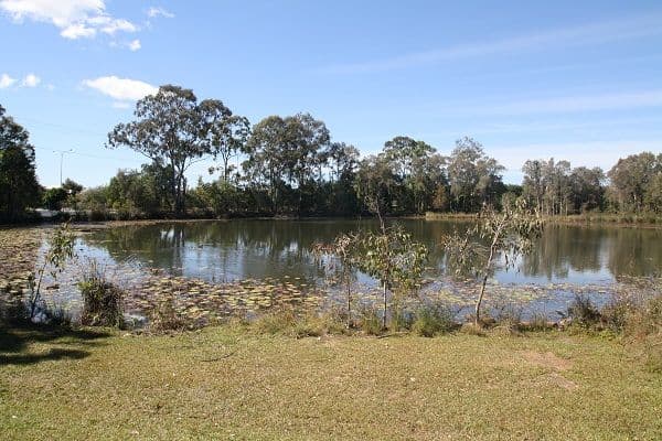 MURRUMBA DOWNS QLD 4503, Murrumba Downs - Image 1