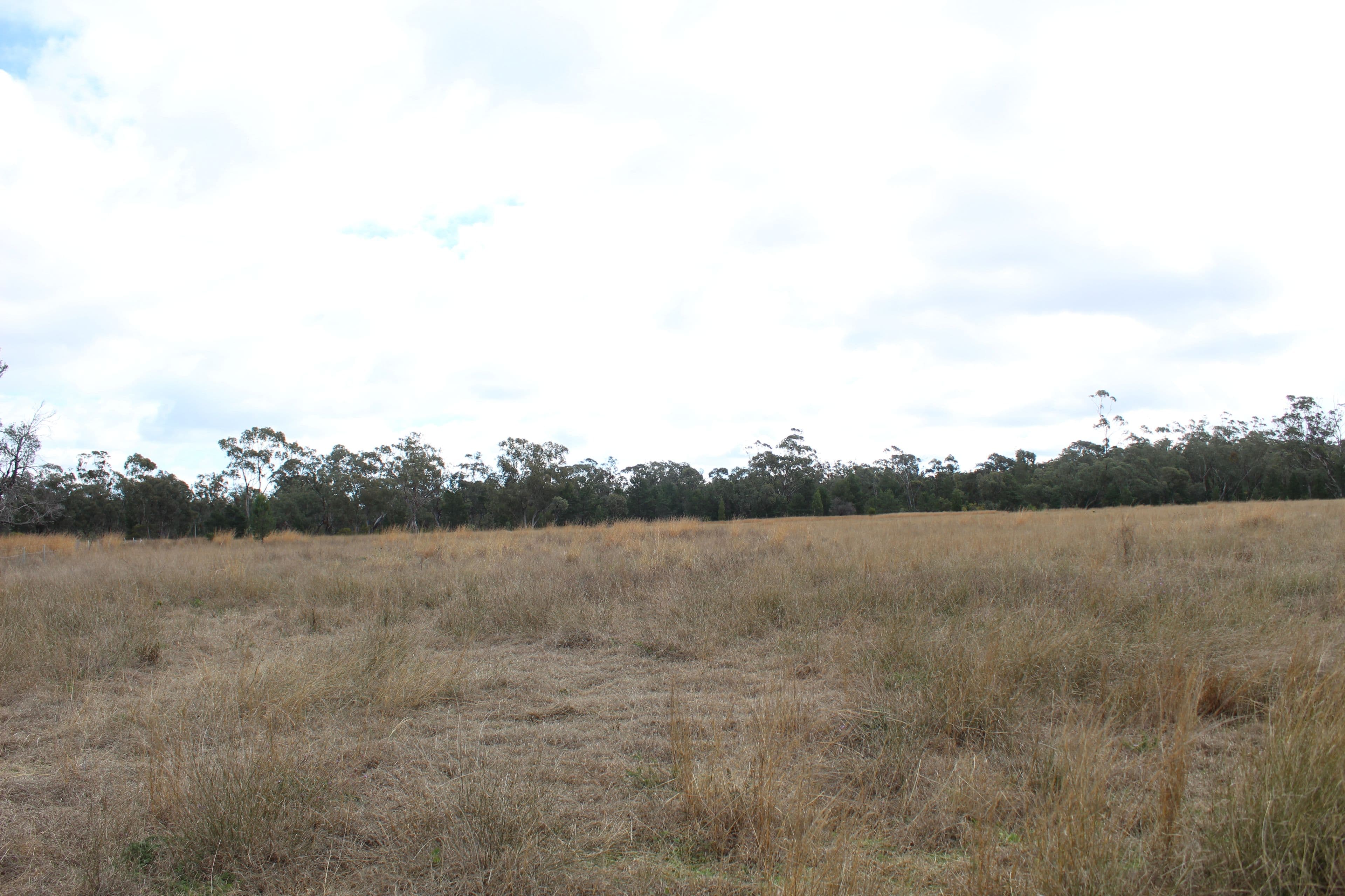 2 Acacia Crescent, Warialda NSW 2402, Warialda - Thumbnail 3