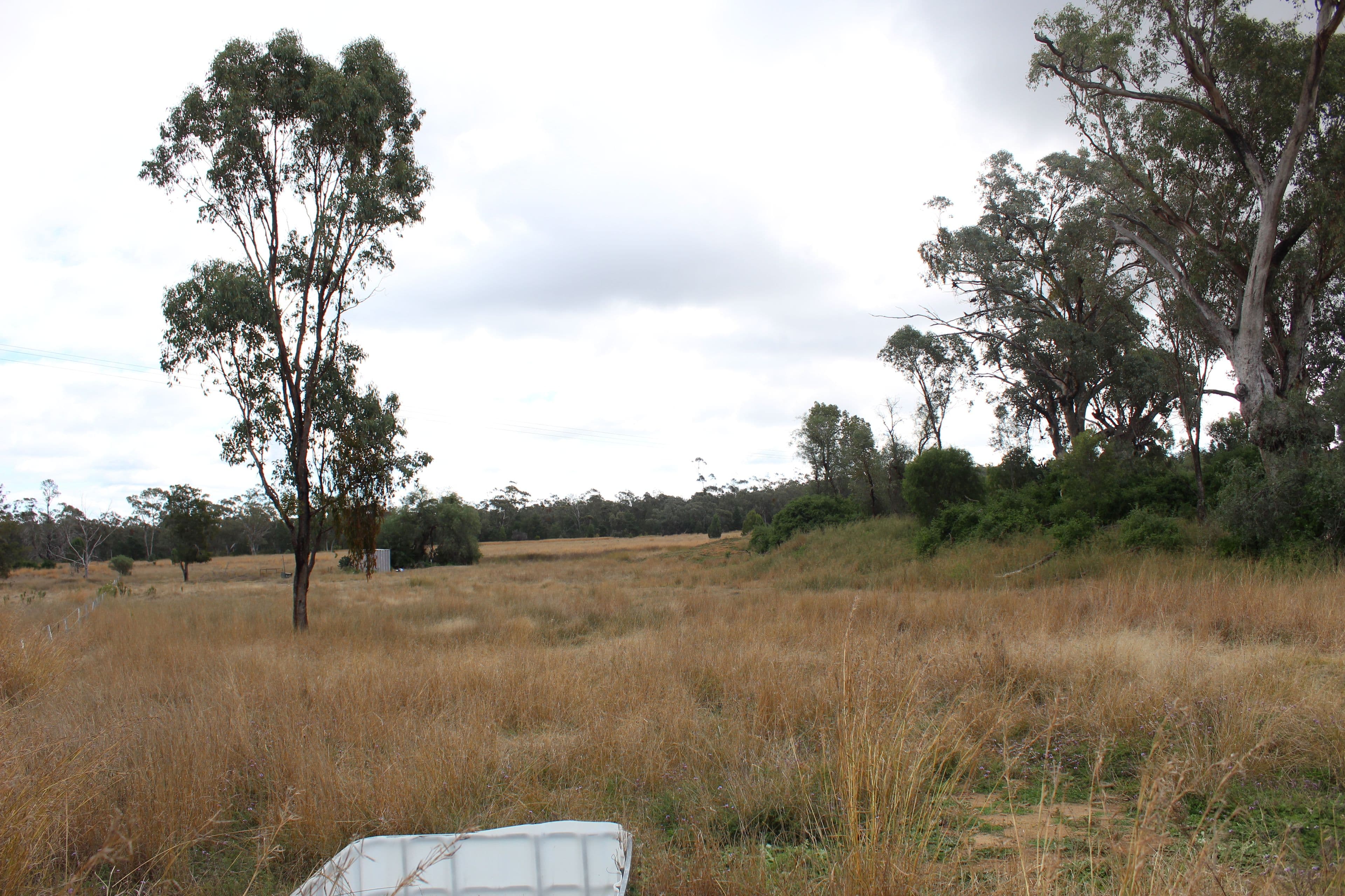 2 Acacia Crescent, Warialda NSW 2402, Warialda - Thumbnail 4