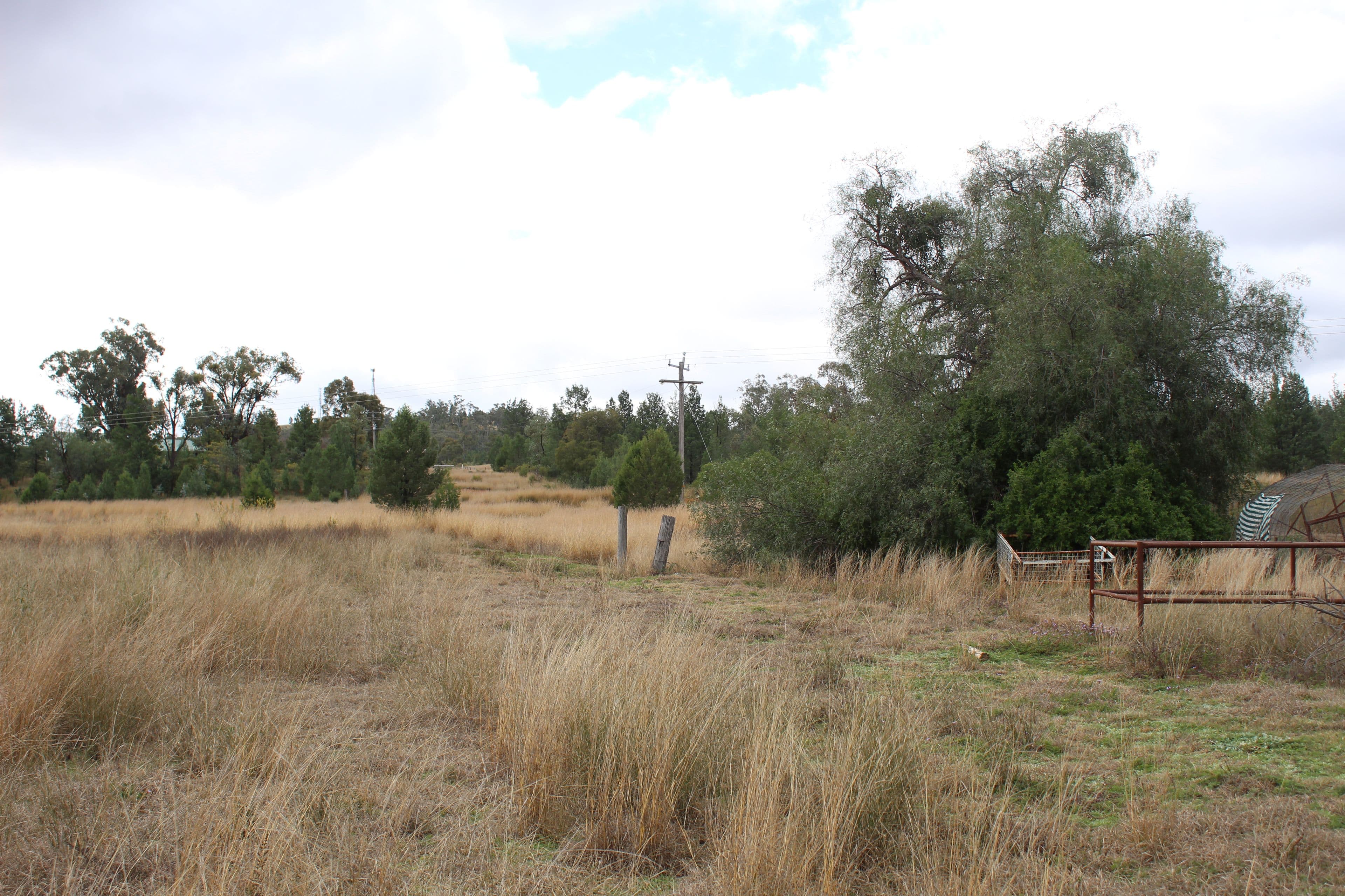 2 Acacia Crescent, Warialda NSW 2402, Warialda - Thumbnail 7