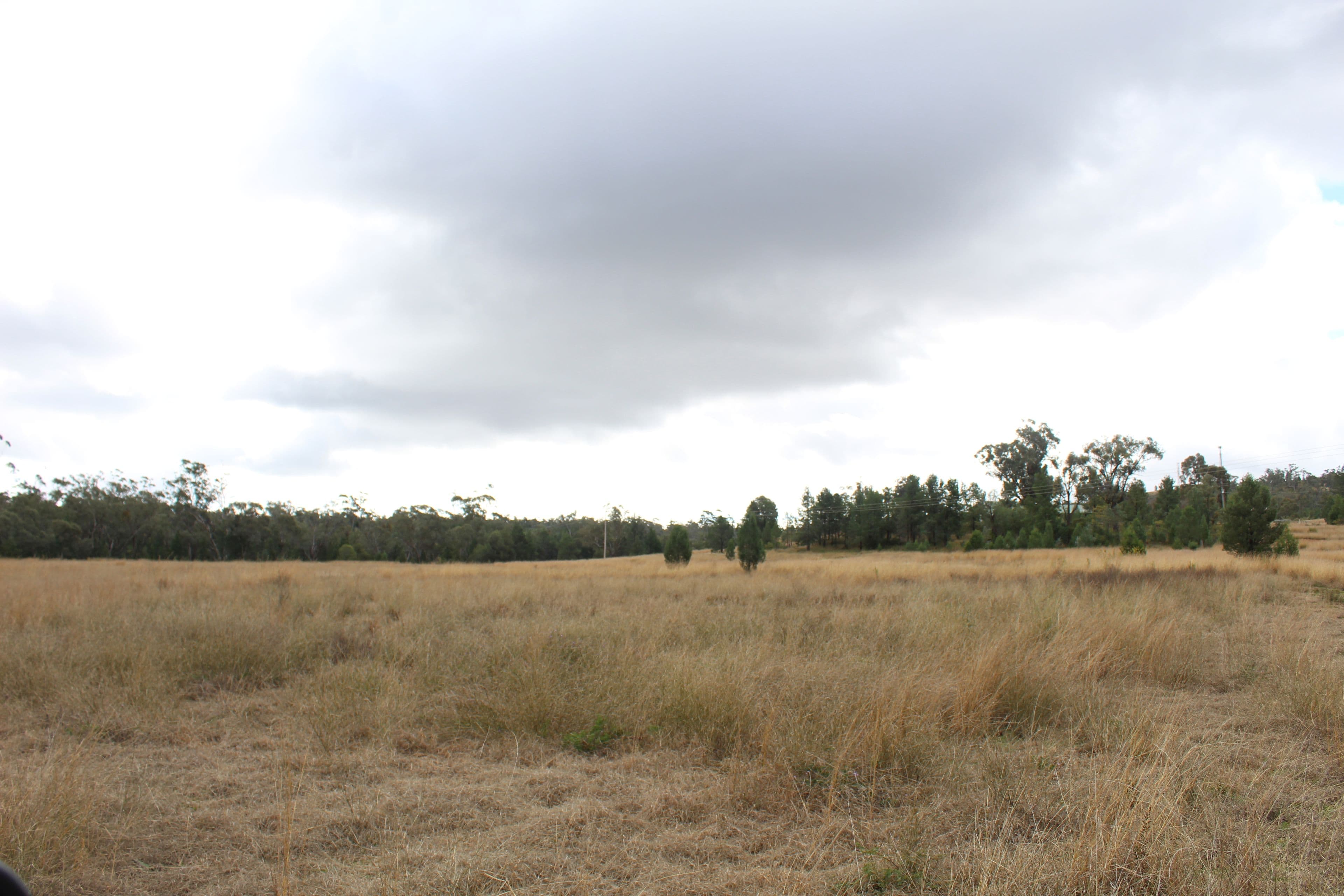 2 Acacia Crescent, Warialda NSW 2402, Warialda - Thumbnail 8