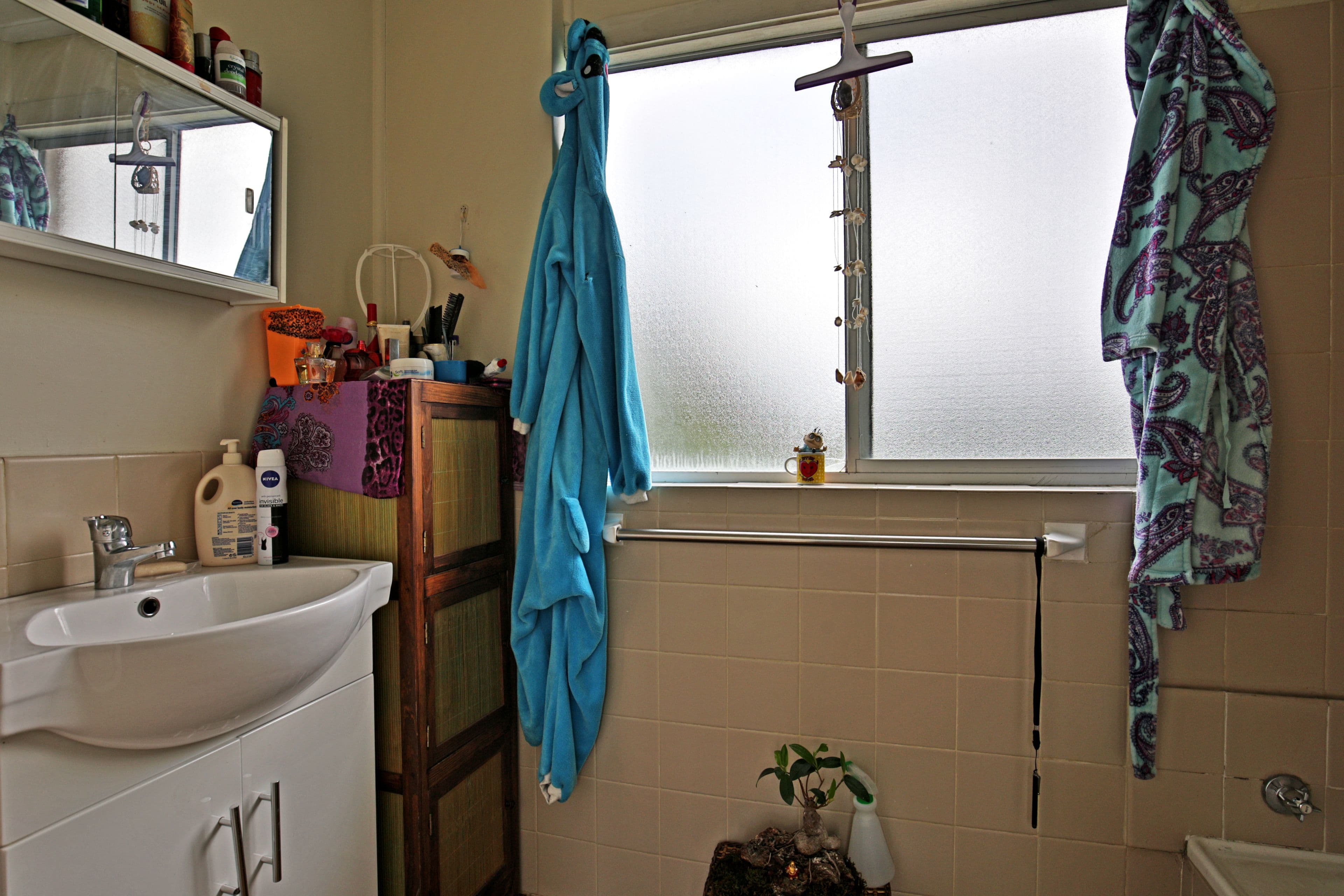 109 Moss Street, Nowra NSW 2541, Nowra - Thumbnail 7