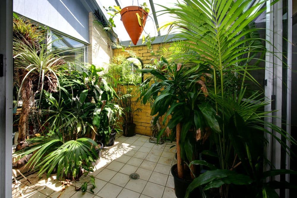 42 Monterey Circuit, TINGALPA QLD 4173, Tingalpa - Thumbnail 5