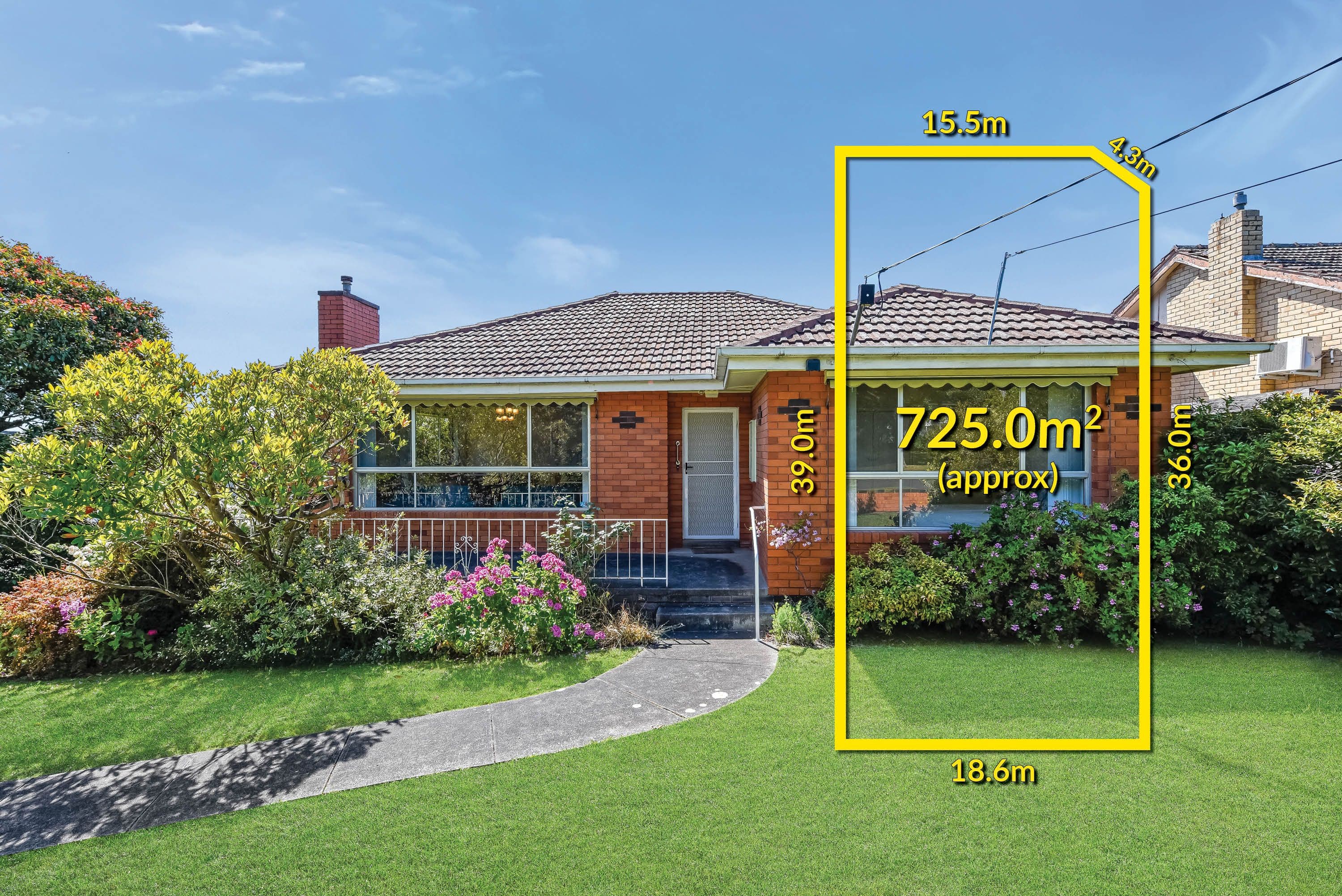 6 Lyons Street, Mount Waverley VIC 3149, Mount Waverley - Image 1