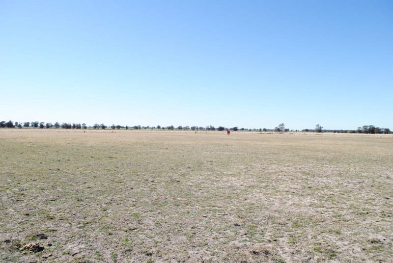 5 Glen Park Road, Moree NSW 2400, Moree - Image 1