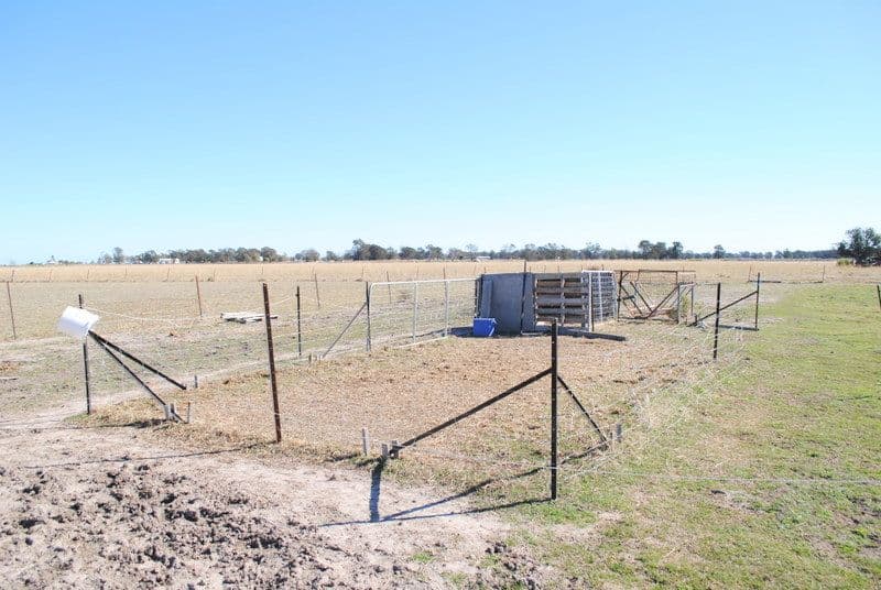 5 Glen Park Road, Moree NSW 2400, Moree - Thumbnail 3