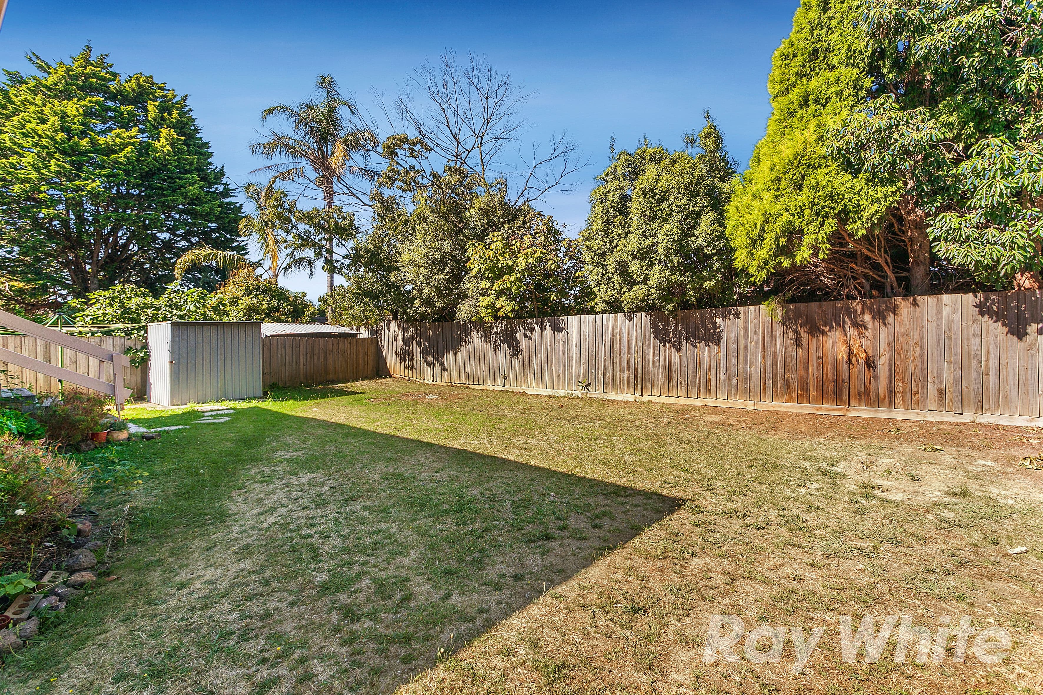 641 Springvale Road, Vermont South VIC 3133, Vermont South - Thumbnail 3