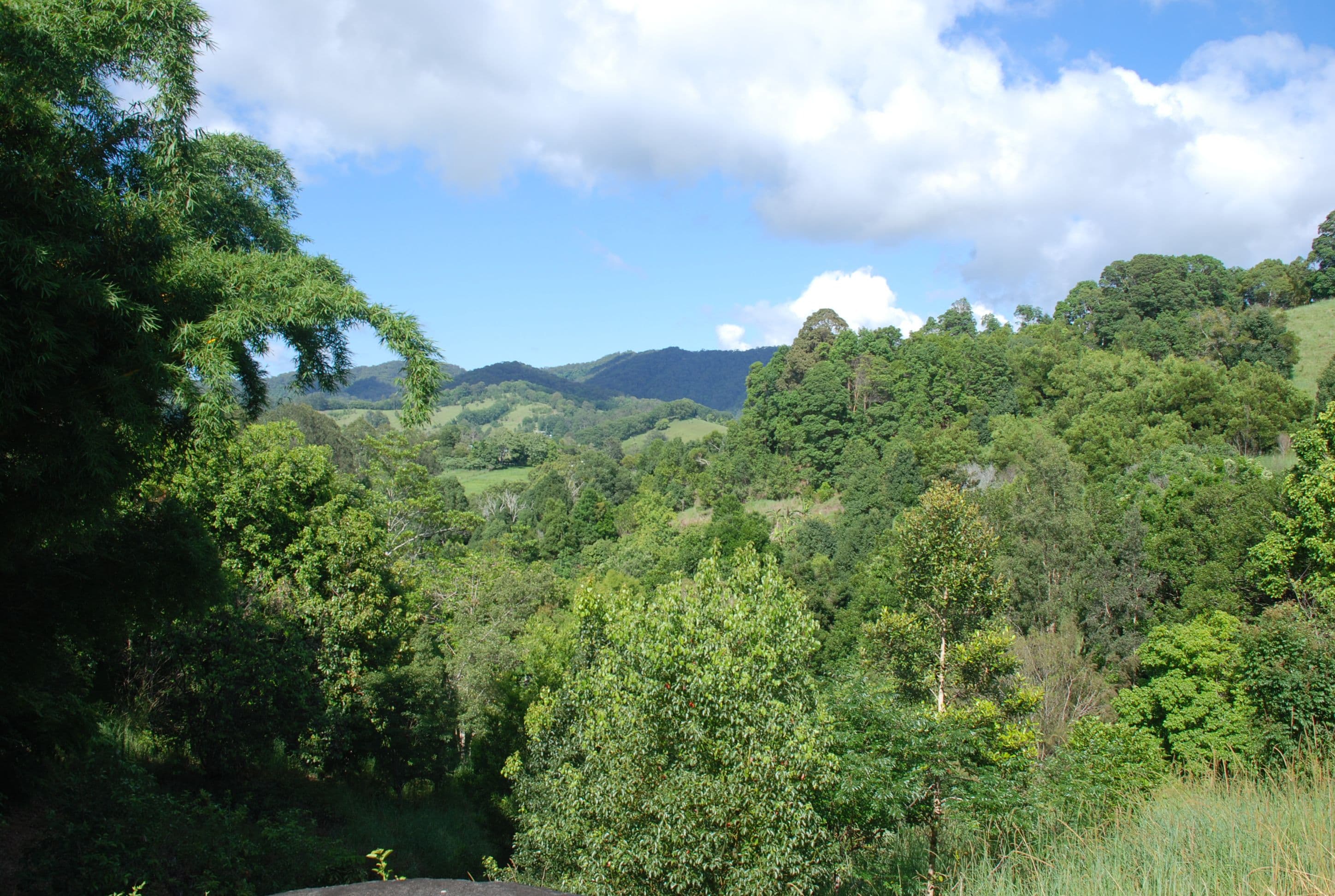 47 Yarrabee Terrace, Stokers Siding - Thumbnail 6