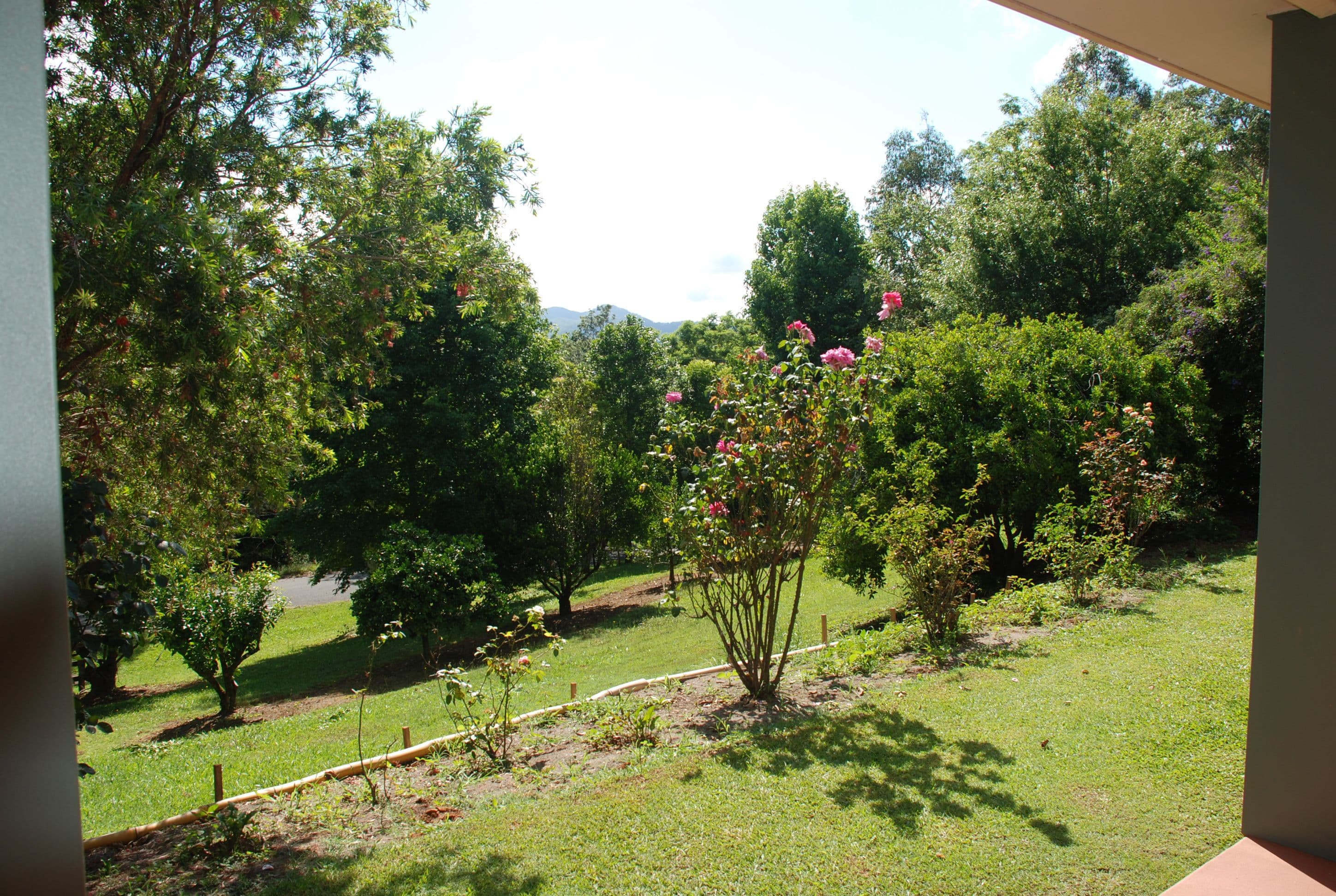 47 Yarrabee Terrace, Stokers Siding - Thumbnail 7