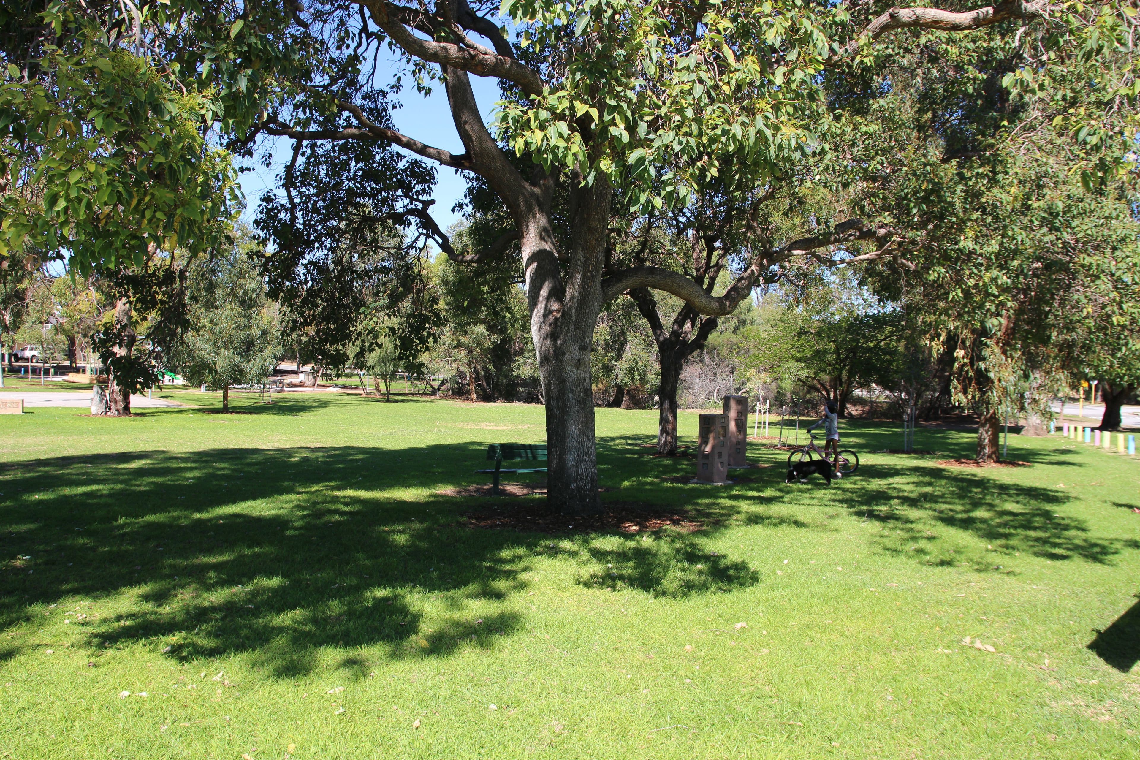 4a Butson Street, Hilton WA 6163, Hilton - Thumbnail 4