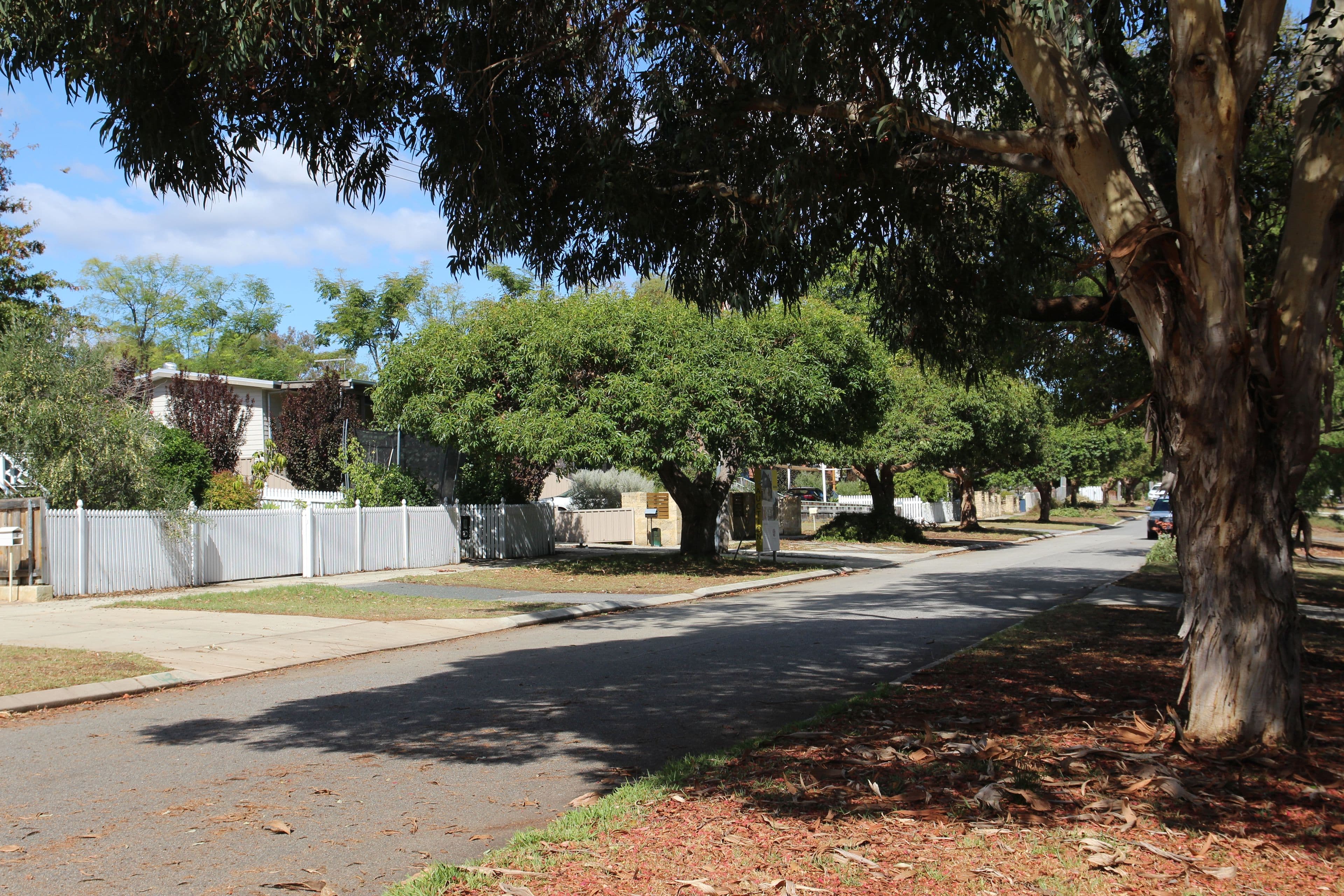 4a Butson Street, Hilton WA 6163, Hilton - Thumbnail 5