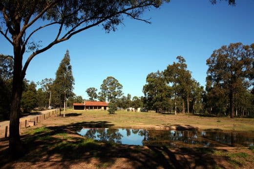 BRANXTON NSW 2335, Branxton - Thumbnail 5