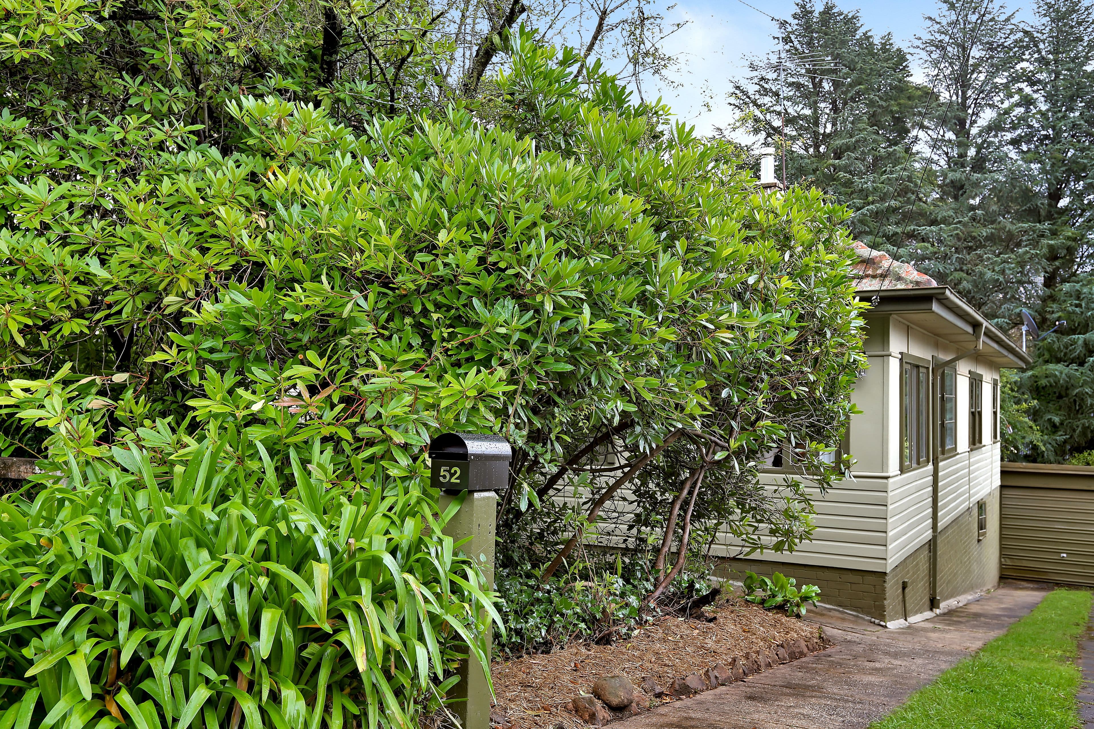 52 Prince Edward Street, Blackheath NSW 2785, Blackheath - Thumbnail 2