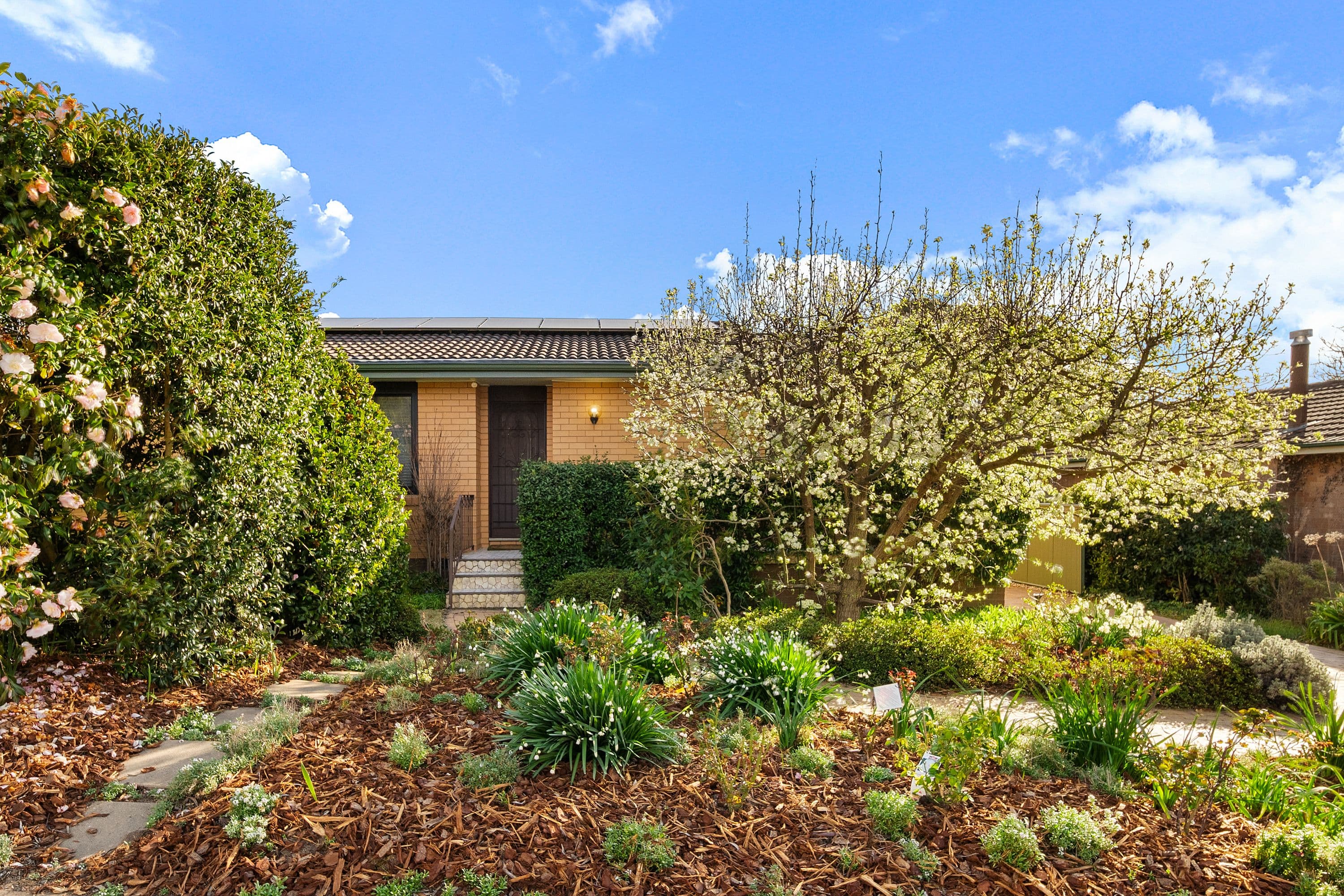 28 Mackellar Crescent, Cook ACT 2614, Cook - Thumbnail 2