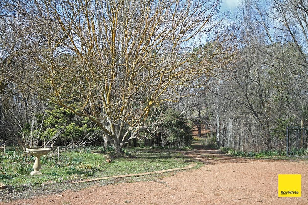 1562 Captains Flat Road, Carwoola NSW 2620, Carwoola - Thumbnail 4