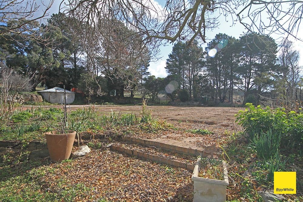 1562 Captains Flat Road, Carwoola NSW 2620, Carwoola - Thumbnail 5