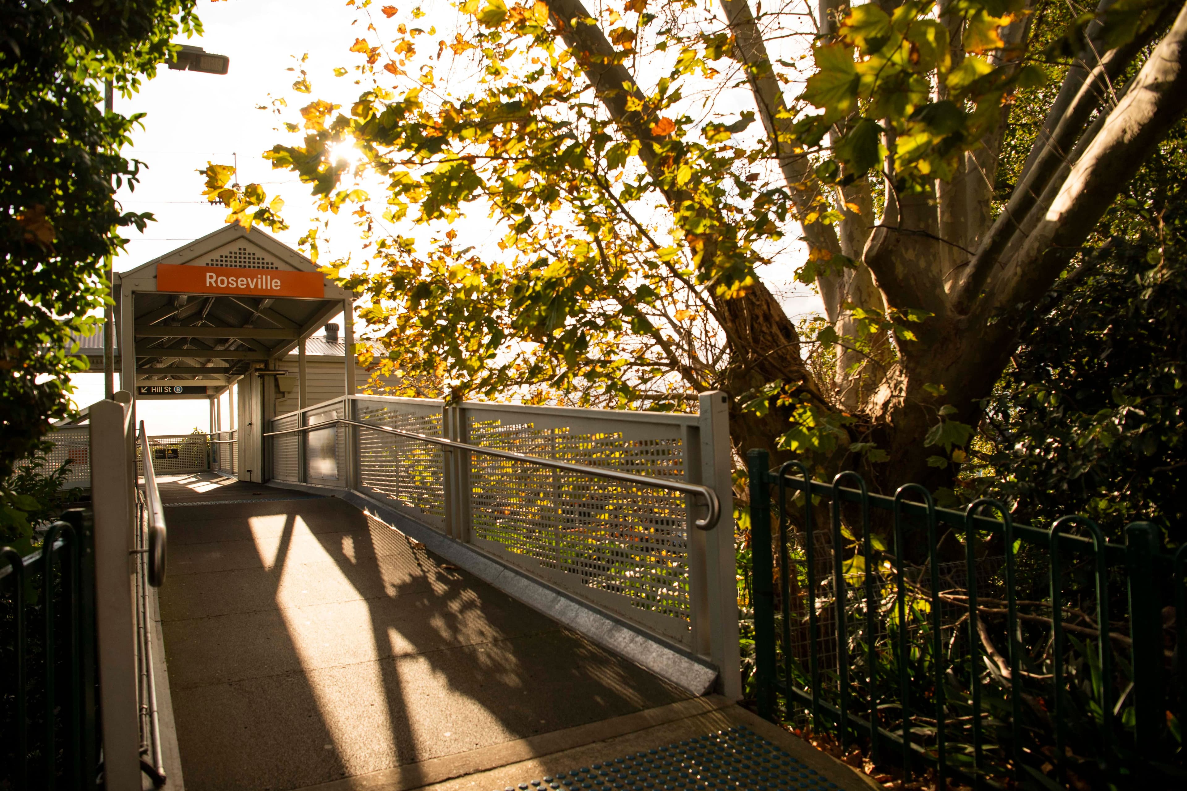 25 Bayswater Road, Lindfield NSW 2070, Lindfield - Thumbnail 4
