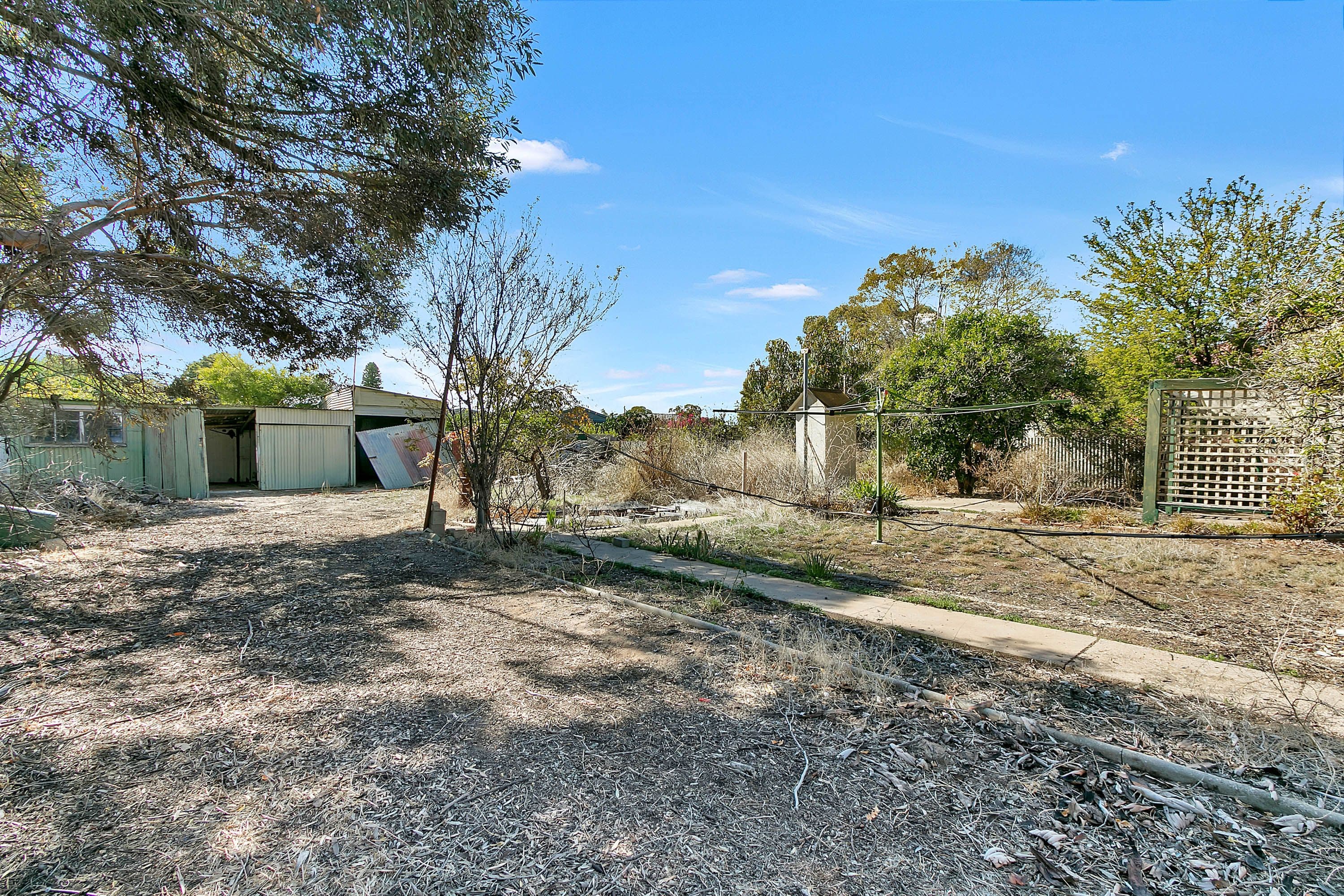 26 Balaklava Road, Mallala SA 5502, Mallala - Thumbnail 7