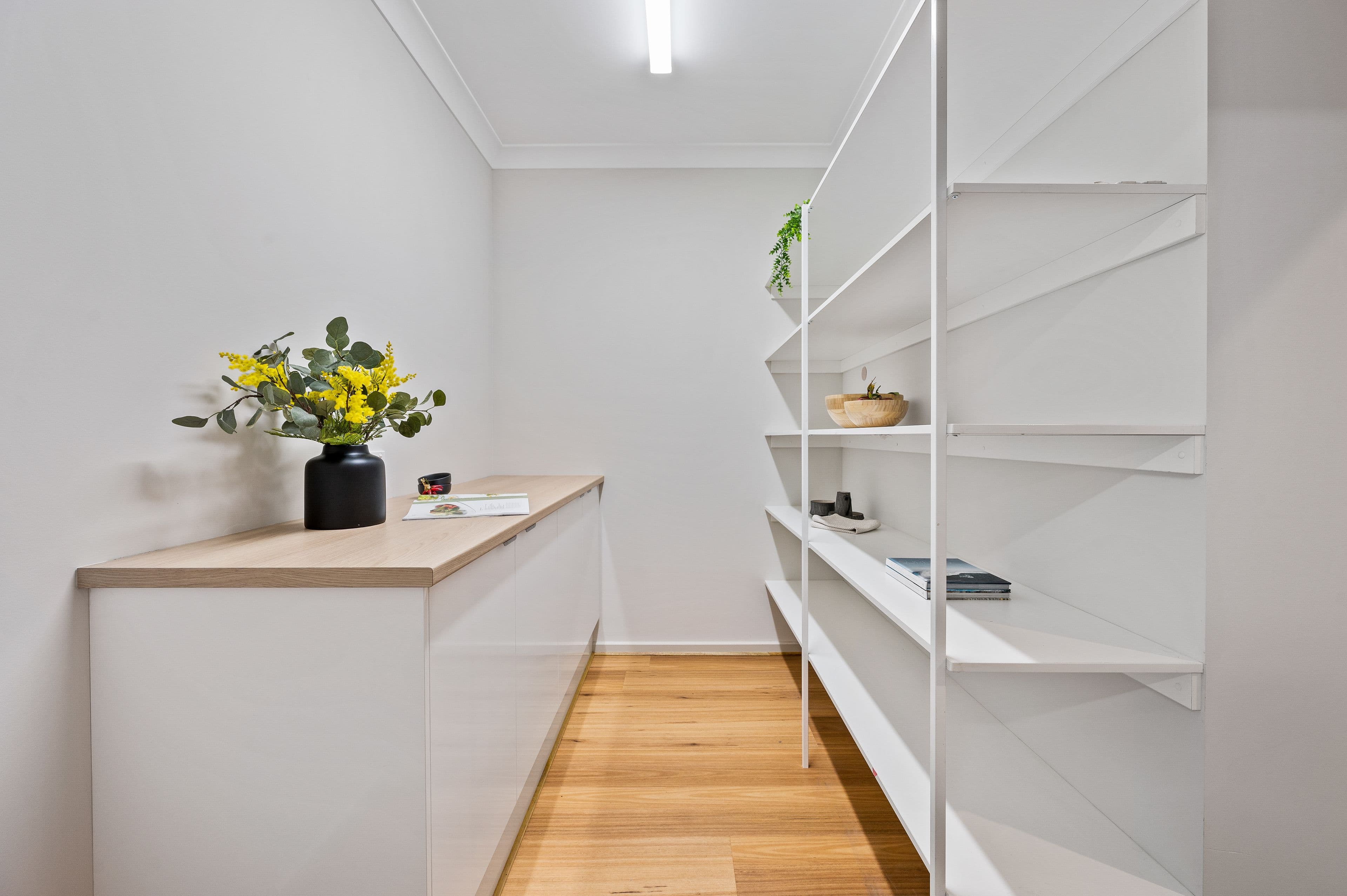 34 Windermere Avenue, Clapham SA 5062, Clapham - Thumbnail 5