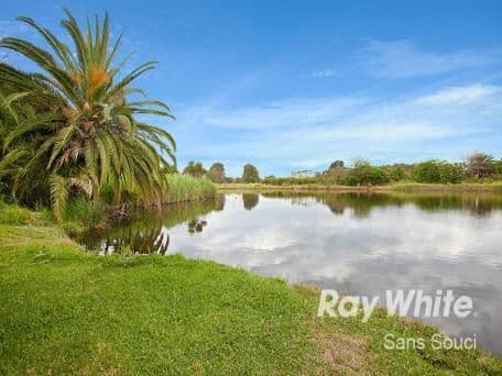 33 Colson Crescent, MONTEREY NSW 2217, Monterey - Thumbnail 7