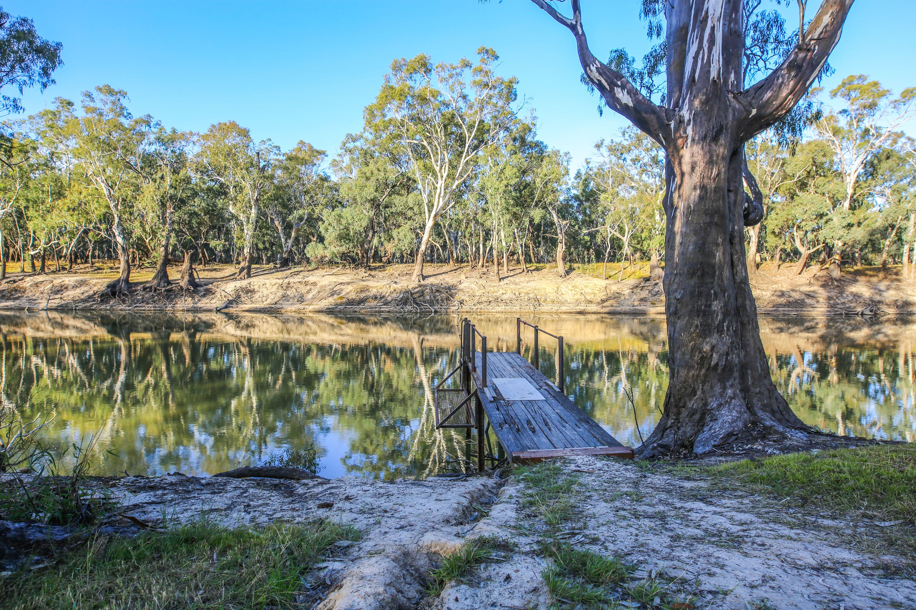 142 Thoroughbred Road, Deniliquin NSW 2710, Deniliquin - Thumbnail 6