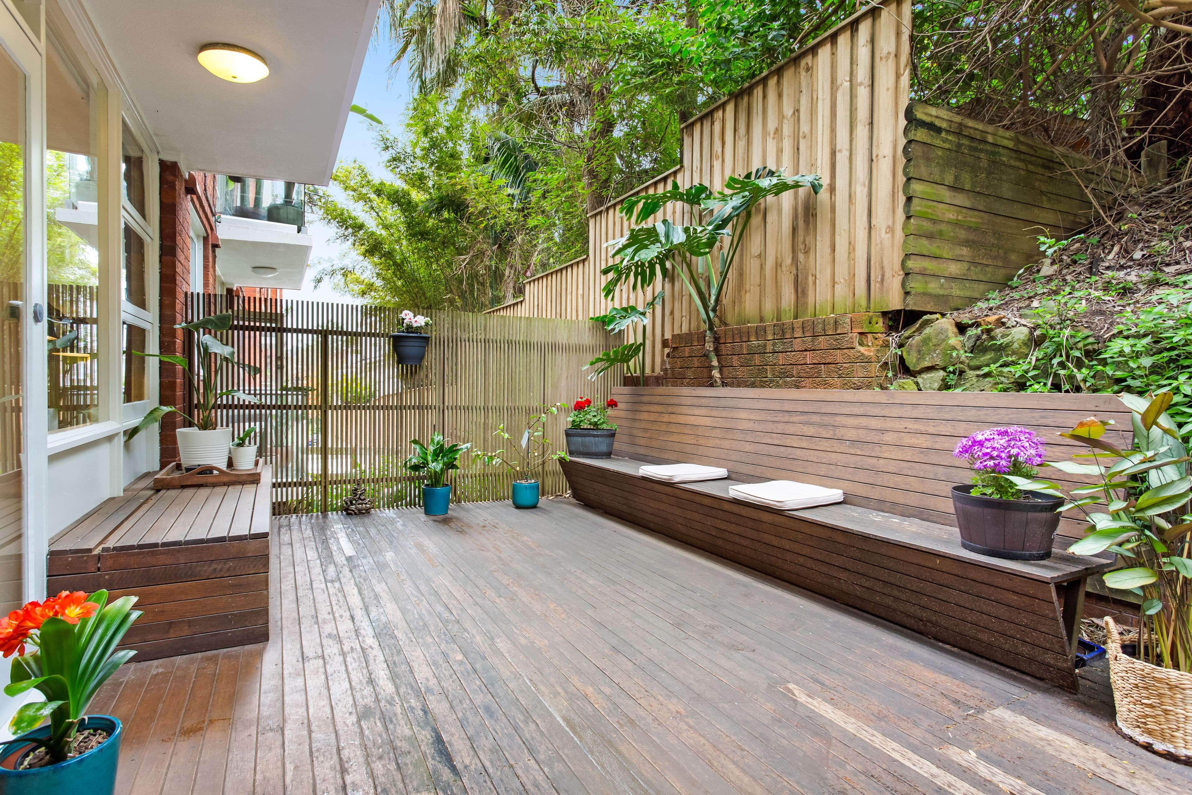36 Pacific Street, Bronte NSW 2024, Bronte - Thumbnail 4