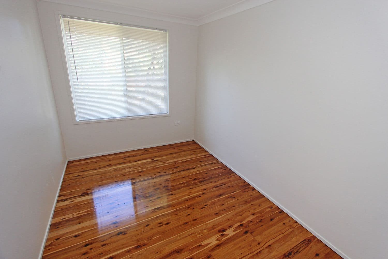 11 Sherwood Drive, Springfield NSW 2250, Springfield - Thumbnail 6