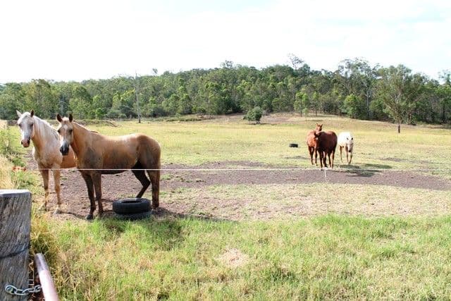 Lot 6 Chantelle Place, BIDDADDABA QLD 4275, Biddaddaba - Thumbnail 4