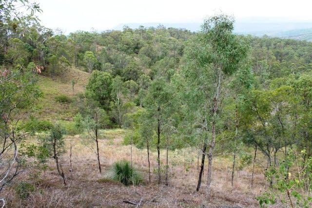 Lot 6 Chantelle Place, BIDDADDABA QLD 4275, Biddaddaba - Thumbnail 6