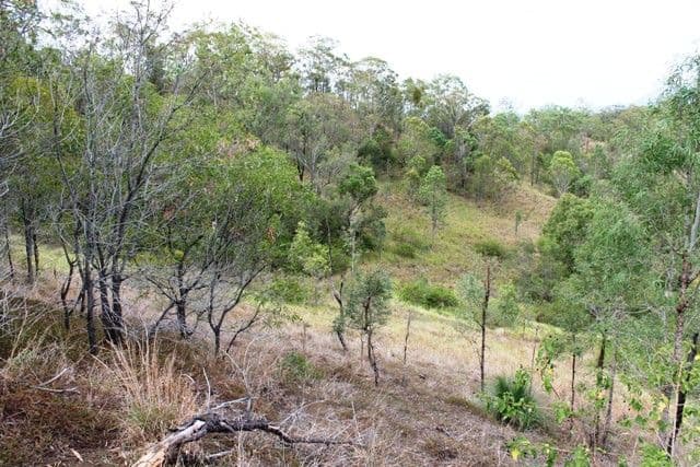 Lot 6 Chantelle Place, BIDDADDABA QLD 4275, Biddaddaba - Thumbnail 7