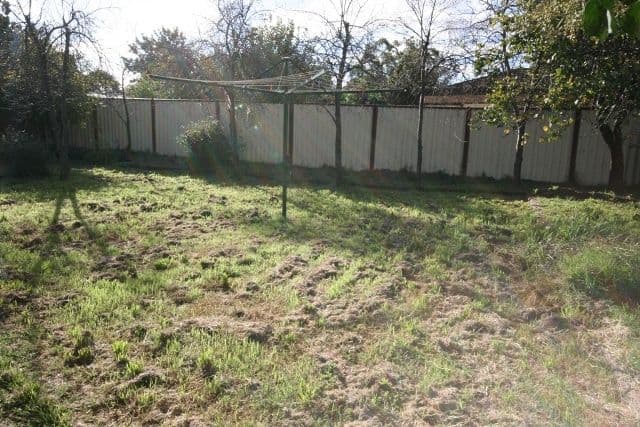 8 Robyn Avenue, ALBANVALE VIC 3021, Albanvale - Thumbnail 5