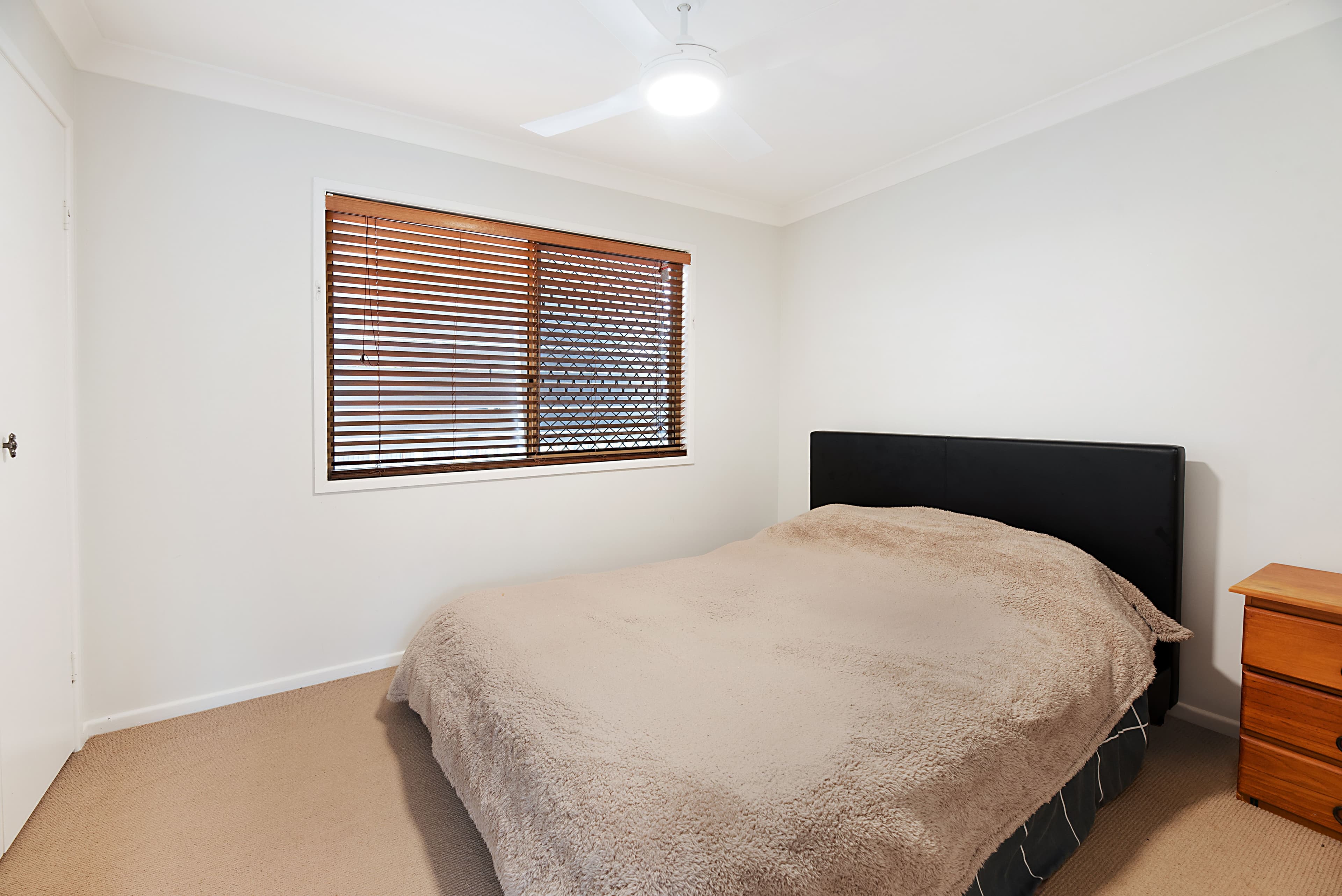 66 Cooroora Street, Dicky Beach QLD 4551, Dicky Beach - Thumbnail 8