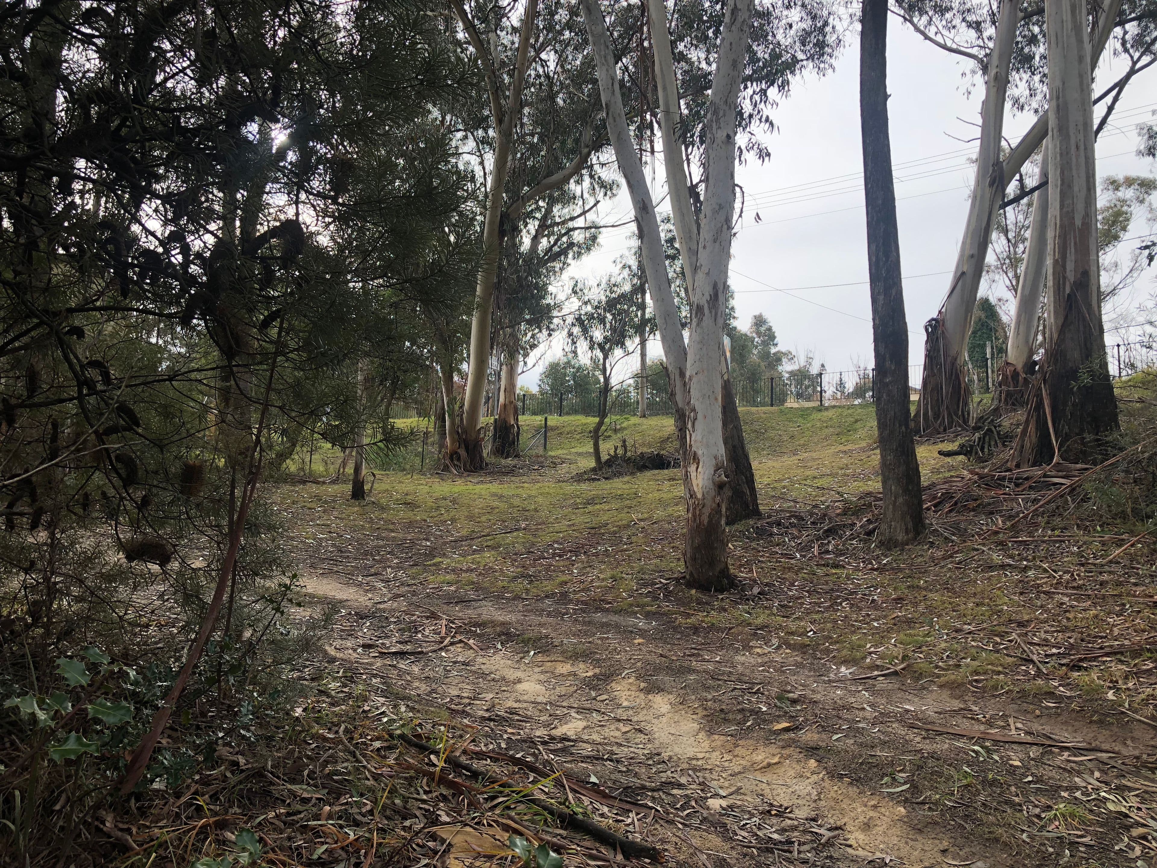 157 Victoria Street, Mount Victoria NSW 2786, Mount Victoria - Thumbnail 3