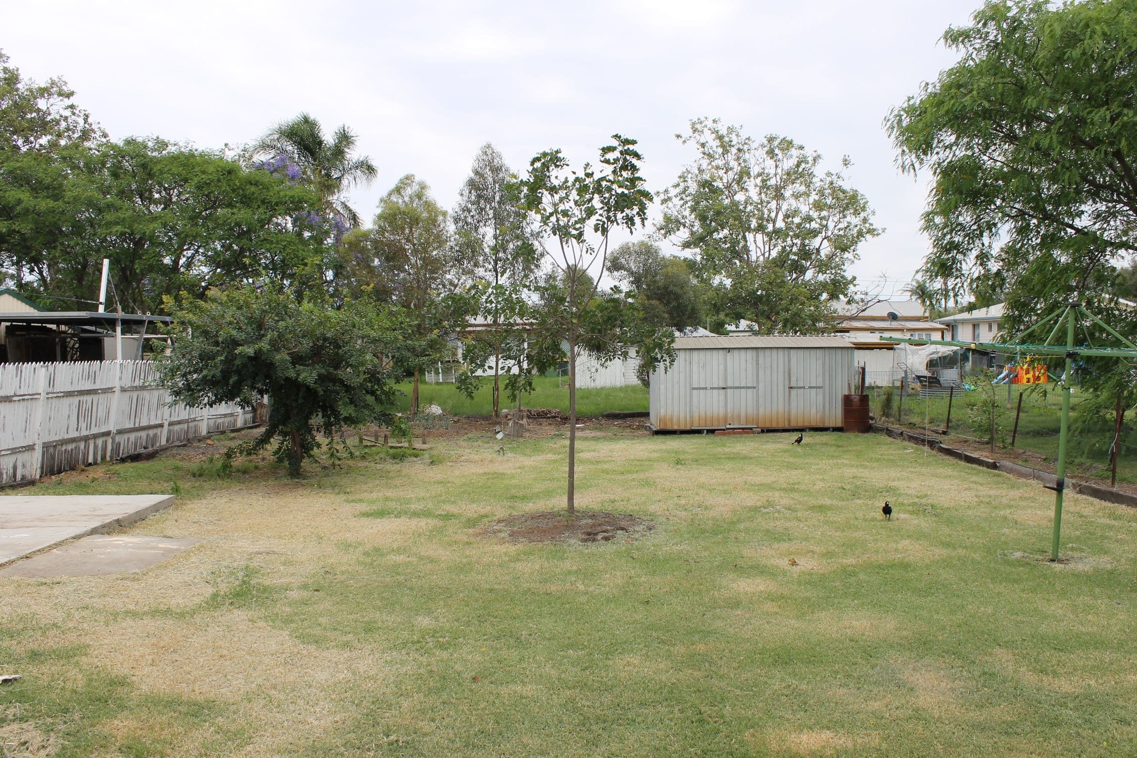 8 Nearhos Street, Dalby QLD 4405, Dalby - Thumbnail 7