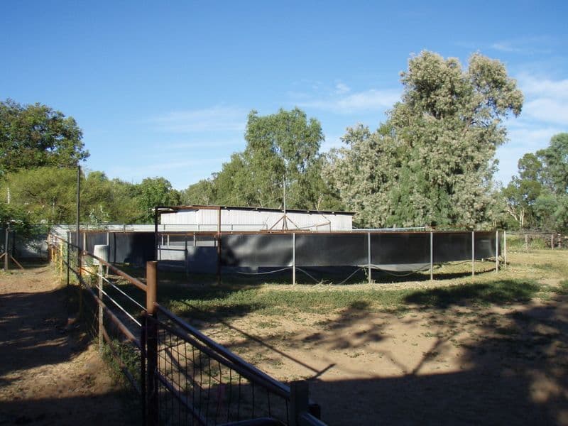 169 Galatea Street, CHARLEVILLE QLD 4470, Charleville - Image 1
