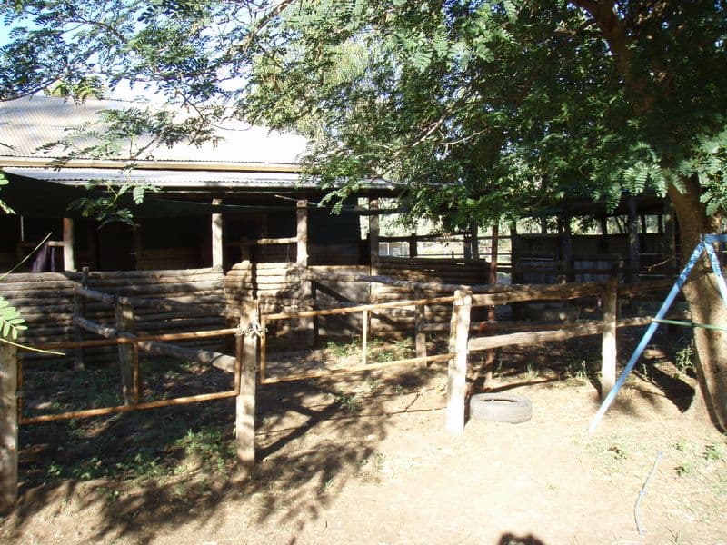 169 Galatea Street, CHARLEVILLE QLD 4470, Charleville - Thumbnail 2