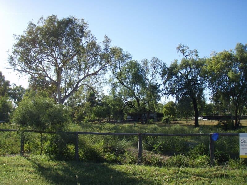 169 Galatea Street, CHARLEVILLE QLD 4470, Charleville - Thumbnail 6