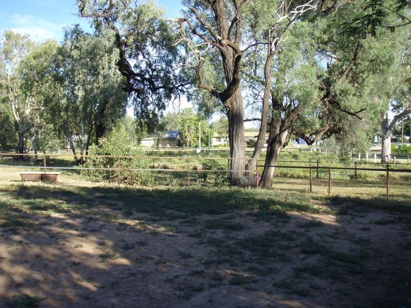 169 Galatea Street, CHARLEVILLE QLD 4470, Charleville - Thumbnail 7