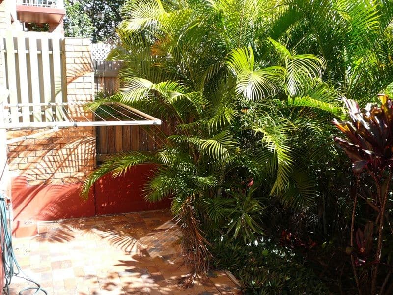 62  Macaulay Street, COORPAROO QLD 4151, Coorparoo - Thumbnail 6