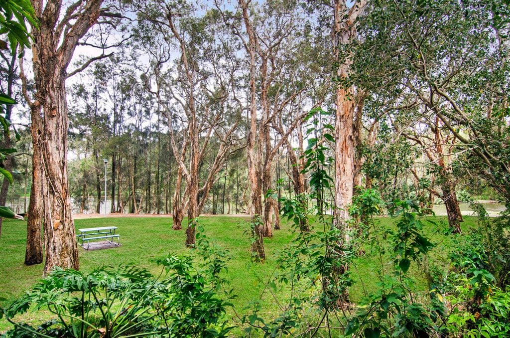 547 Gold Coast Highway, Tugun QLD 4224, Tugun - Thumbnail 4