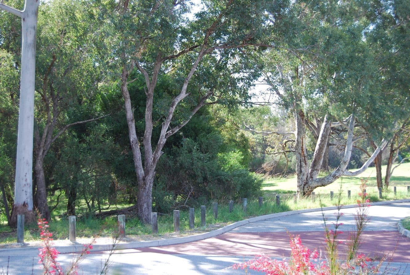 41 Baron Way, GOSNELLS WA 6110, Gosnells - Thumbnail 4