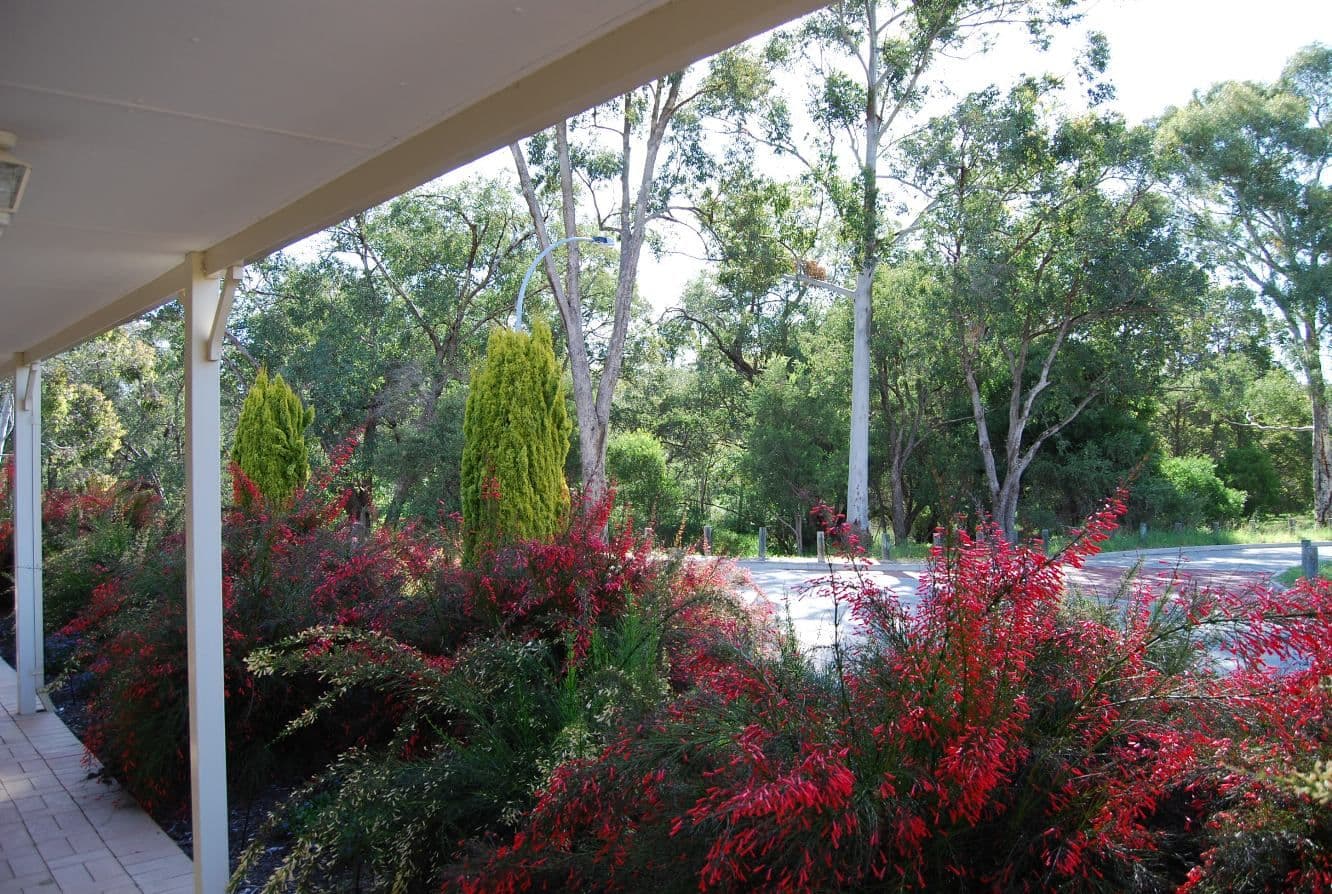 41 Baron Way, GOSNELLS WA 6110, Gosnells - Thumbnail 6