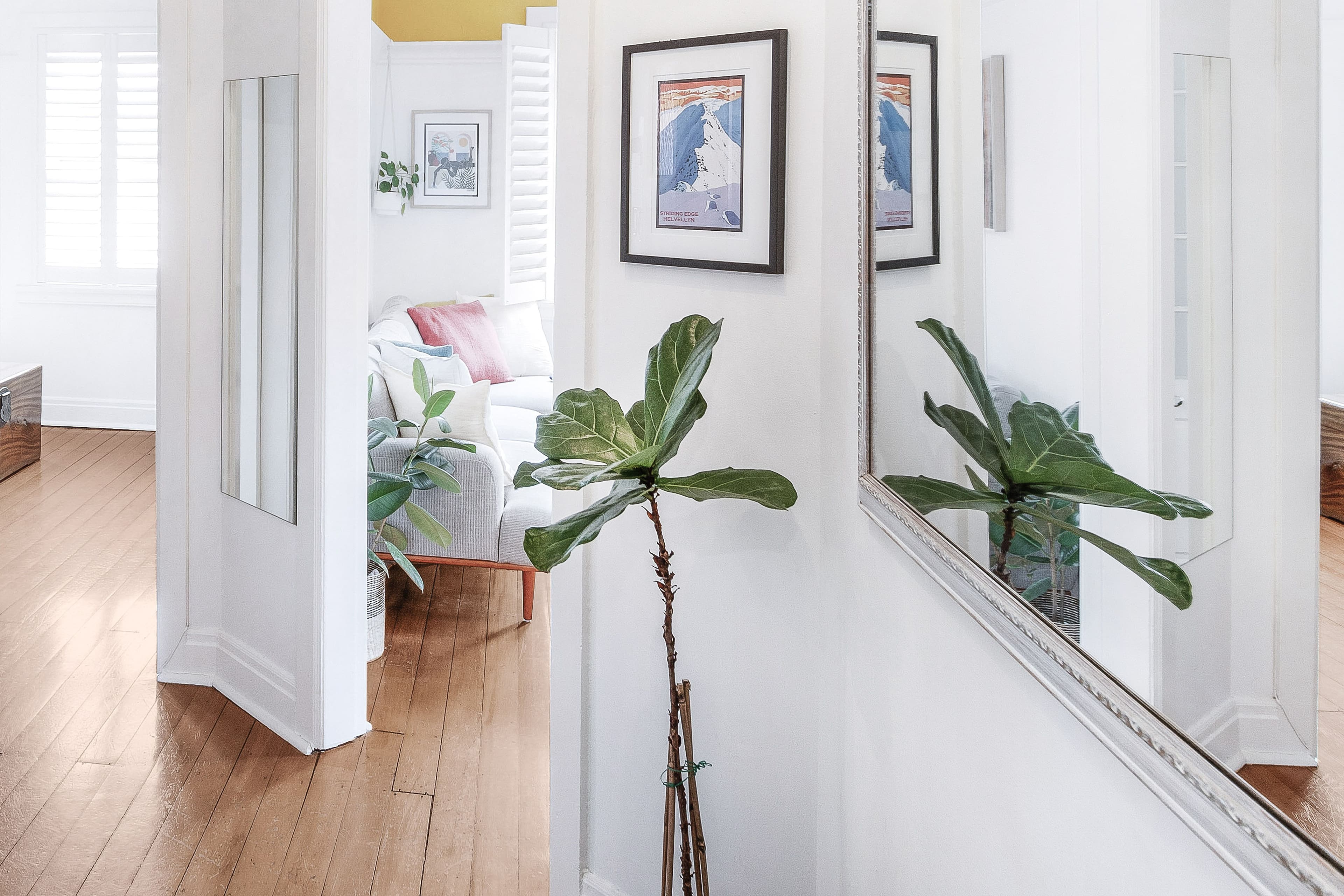 73 Arthur Street, Randwick NSW 2031, Randwick - Thumbnail 3